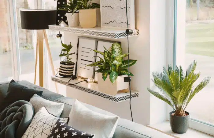 materas y plantas