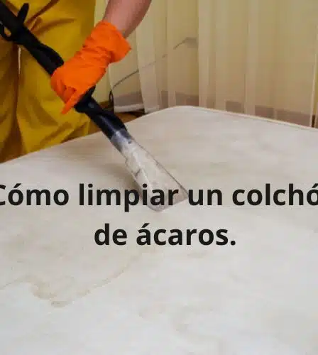 limpiar un colchón